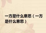 一方是什么意思（一方是什么意思）