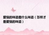 爱情的味道是什么味道（怎样才是爱情的味道）