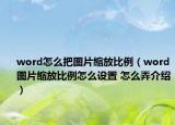 word怎么把图片缩放比例（word图片缩放比例怎么设置 怎么弄介绍）
