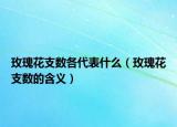 玫瑰花支数各代表什么（玫瑰花支数的含义）