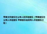 苹果文件音乐怎么导入到本地音乐（苹果音乐怎么导入本地音乐 苹果音乐如何导入本地音乐介绍）
