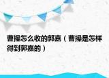 曹操怎么收的郭嘉（曹操是怎样得到郭嘉的）