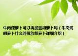 牛肉炖萝卜可以再加些胡萝卜吗（牛肉炖胡萝卜什么时候放胡萝卜详细介绍）