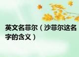 英文名菲尔（沙菲尔这名字的含义）