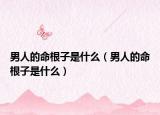 男人的命根子是什么（男人的命根子是什么）