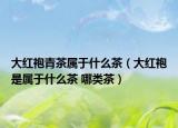 大红袍青茶属于什么茶（大红袍是属于什么茶 哪类茶）