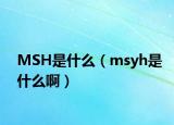 MSH是什么（msyh是什么啊）