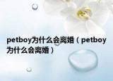 petboy为什么会离婚（petboy为什么会离婚）