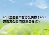 soul里面的声音怎么关掉（soul声音怎么关 在哪里关介绍）