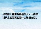 螃蟹钳上的黑色的是什么（大闸蟹钳子上的黑黑的是什么详细介绍）