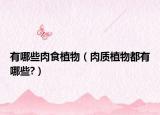 有哪些肉食植物（肉质植物都有哪些?）