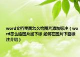 word文档里面怎么给图片添加标注（word怎么给图片加下标 如何在图片下面标注介绍）