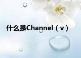 什么是Channel（v）