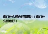 房门什么颜色好看图片（房门什么颜色好）