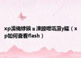 xp濡備綍鏌ョ湅鍐呭瓨澶у皬（xp如何查看flash）