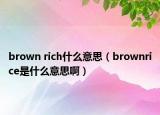 brown rich什么意思（brownrice是什么意思啊）