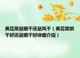 黄花菜是晒干还是风干（黄花菜烘干好还是晒干好详细介绍）