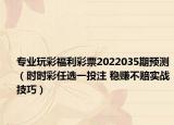 专业玩彩福利彩票2022035期预测（时时彩任选一投注 稳赚不赔实战技巧）