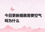 今日更新细菌需要空气吗为什么