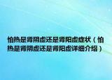 怕热是肾阴虚还是肾阳虚症状（怕热是肾阴虚还是肾阳虚详细介绍）