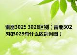 雷朋3025 3026区别（雷朋3025和3029有什么区别附图）