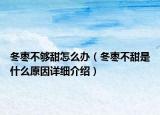 冬枣不够甜怎么办（冬枣不甜是什么原因详细介绍）