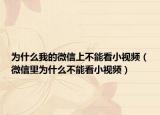 为什么我的微信上不能看小视频（微信里为什么不能看小视频）