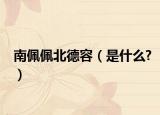 南佩佩北德容（是什么?）
