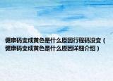 健康码变成黄色是什么原因行程码没变（健康码变成黄色是什么原因详细介绍）