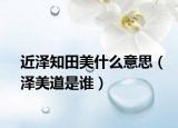 近泽知田美什么意思（泽美道是谁）