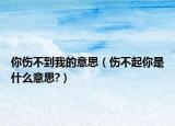 你伤不到我的意思（伤不起你是什么意思?）