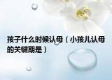 孩子什么时候认母（小孩儿认母的关键期是）