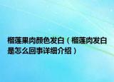 榴莲果肉颜色发白（榴莲肉发白是怎么回事详细介绍）