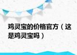 鸡灵宝的价格官方（这是鸡灵宝吗）