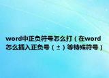 word中正负符号怎么打（在word怎么插入正负号（±）等特殊符号）
