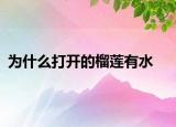 为什么打开的榴莲有水