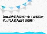 鼬大战大蛇丸是哪一集（火影忍者鸣人和大蛇丸战斗是哪集）