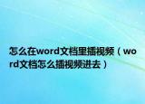 怎么在word文档里插视频（word文档怎么插视频进去）