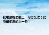 此物最相思的上一句怎么读（此物最相思的上一句）