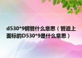d530*9钢管什么意思（管道上面标的D530*9是什么意思）