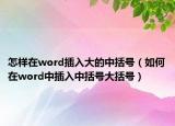 怎样在word插入大的中括号（如何在word中插入中括号大括号）