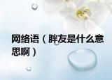 网络语（胖友是什么意思啊）