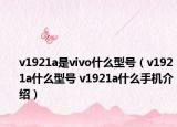 v1921a是vivo什么型号（v1921a什么型号 v1921a什么手机介绍）
