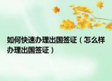 如何快速办理出国签证（怎么样办理出国签证）