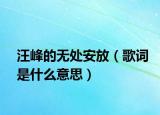汪峰的无处安放（歌词是什么意思）