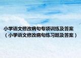 小学语文修改病句专项训练及答案（小学语文修改病句练习题及答案）