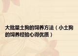 大批量土狗的饲养方法（小土狗的饲养经验心得优质）