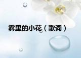 雾里的小花（歌词）