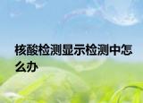 核酸检测显示检测中怎么办