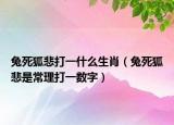 兔死狐悲打一什么生肖（兔死狐悲是常理打一数字）